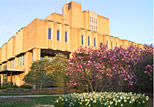 Sunrise view of the Main Library from the flowerbeds