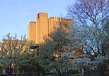 Sunrise view of the Main Library from the flowerbeds
