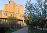 Sunrise view of the Main Library from the flowerbeds