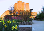 Sunrise view of the Main Library from the flowerbeds