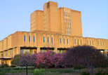 Sunrise view of the Main Library from the flowerbeds