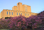 Sunrise view of the Main Library from the flowerbeds