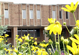 The Main Library at a glance - a beautiful summer day