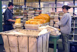 Students in the Library�s Mailroom sort OhioLINK books prior to distribution.