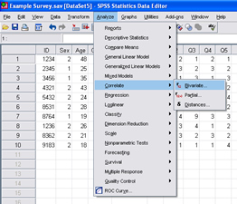 SPSS 17.0 Pearson Correlation 1