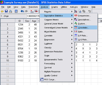 SPSS 17.0 Crosstabs 1