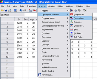 SPSS 17.0 Descriptives 1