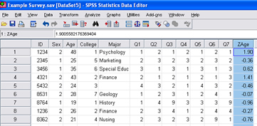 SPSS 17.0 Descriptives 6