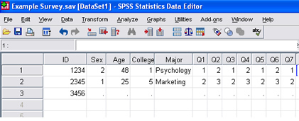 SPSS 17.0 Entering Data 1