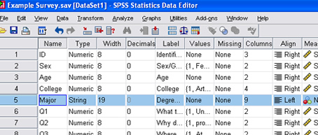 SPSS 17.0 Entering Data 3