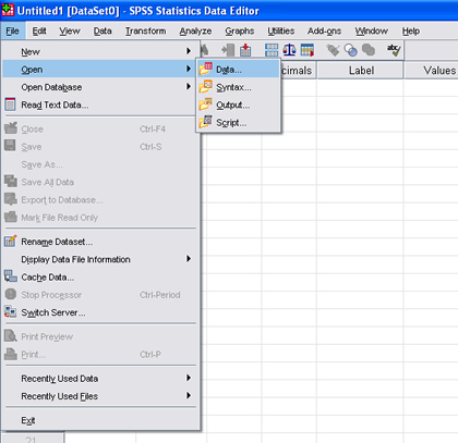 SPSS 17.0 Excel File 1