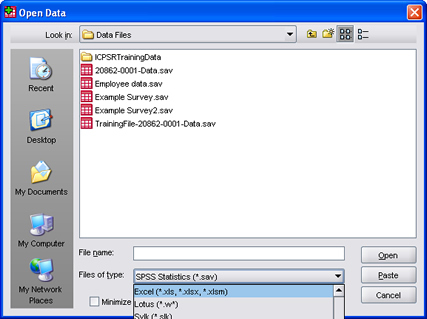 SPSS 17.0 Excel File 3