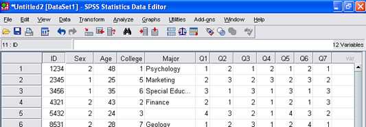 SPSS 17.0 Excel File 6