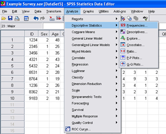 SPSS 17.0 Frequencies 1
