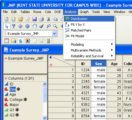 JMP_Descriptives_1
