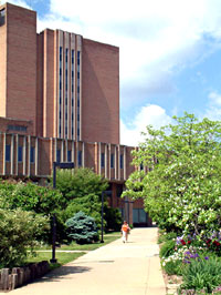 Main Library - Outside - Pretty walkway leading towards main library