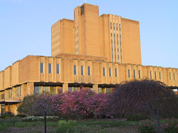Main Library - Outside - Distance view of the Main Library and trees