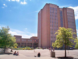 Main Library - Outside - Students sitting in the plaza in front of the Main Library on a sunny day