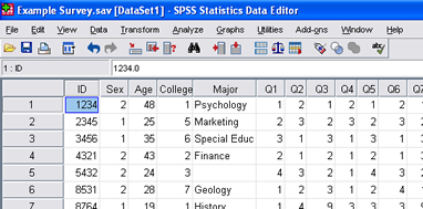 SPSS 17.0 Recoding Variables 1