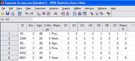 SPSS 17.0 Recoding Variables 13