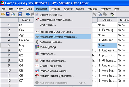 SPSS 17.0 Recoding Variables 4
