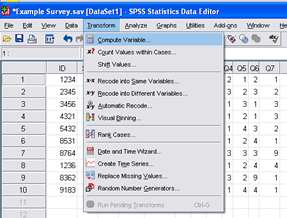 SPSS 17.0 Subscale 1