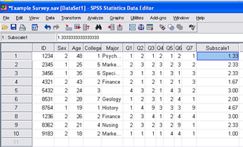 SPSS 17.0 Subscale 5