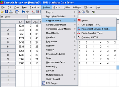 SPSS 17.0 t-test 1