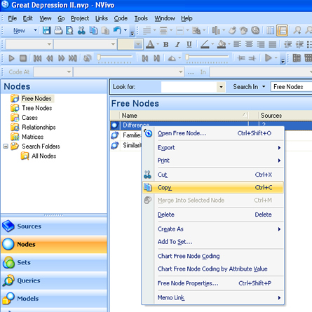 NVivo 8 Tree Nodes 3