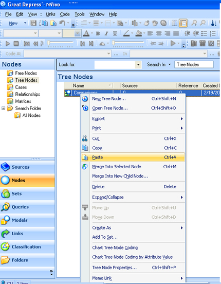 NVivo 8 Tree Nodes 4