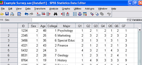 SPSS 17.0 Variable View