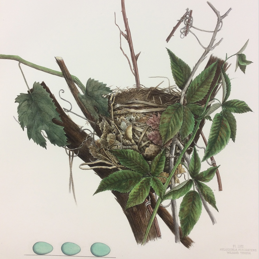 Spotlight on Special Collections