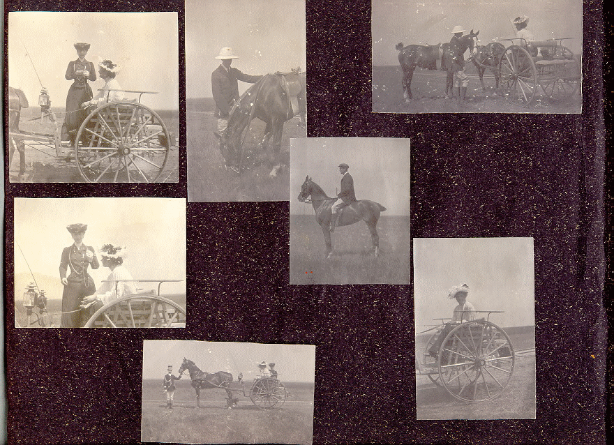 Page 14 of the photo album. Includes 7 photos of people in carriages and on horseback.