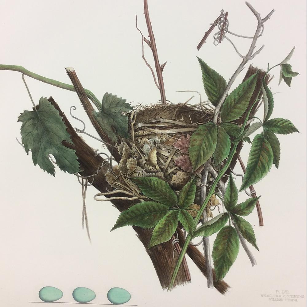 Special Collections And Archives Kent State University Libraries